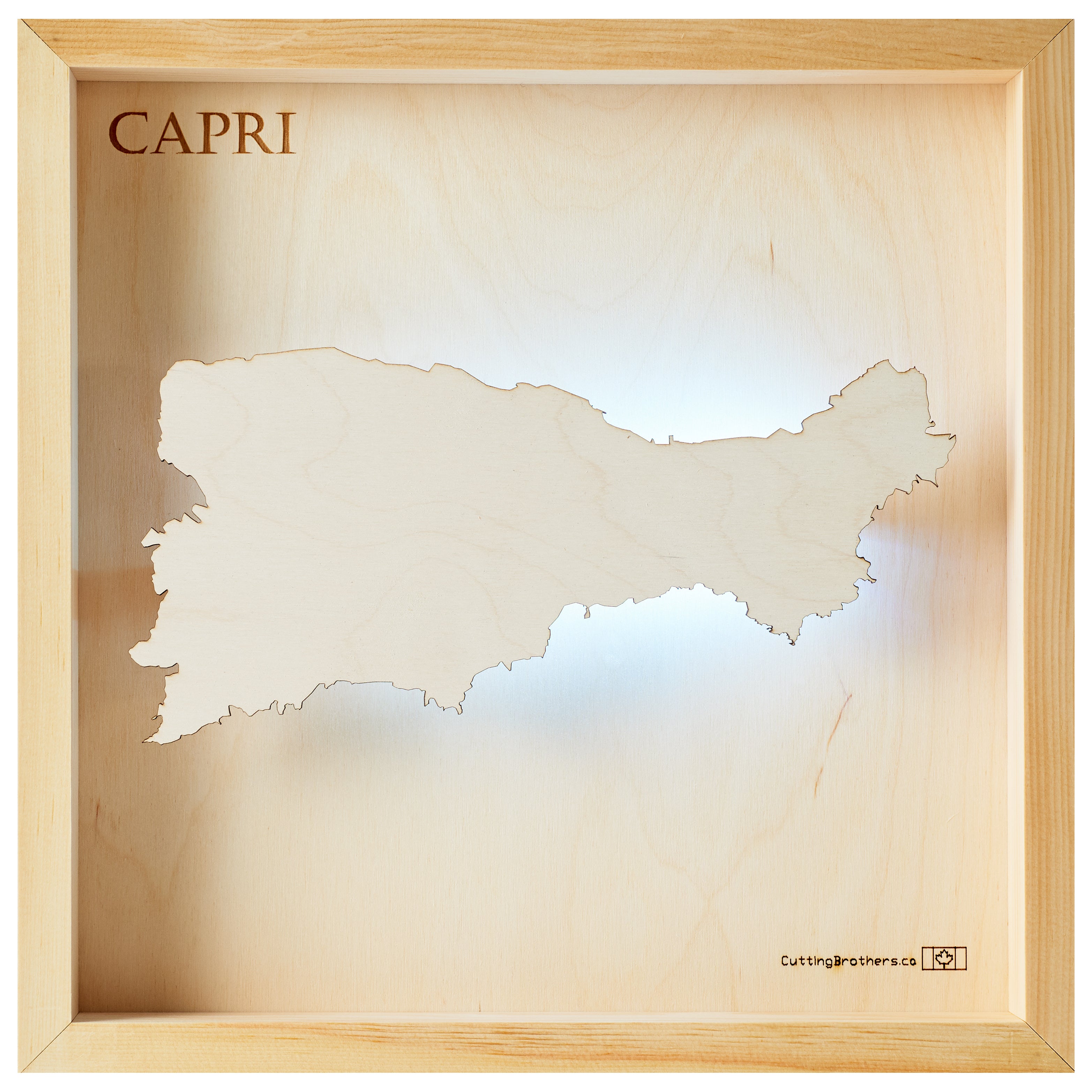 CAPRI LIGHT LED WALL MAP - Version S