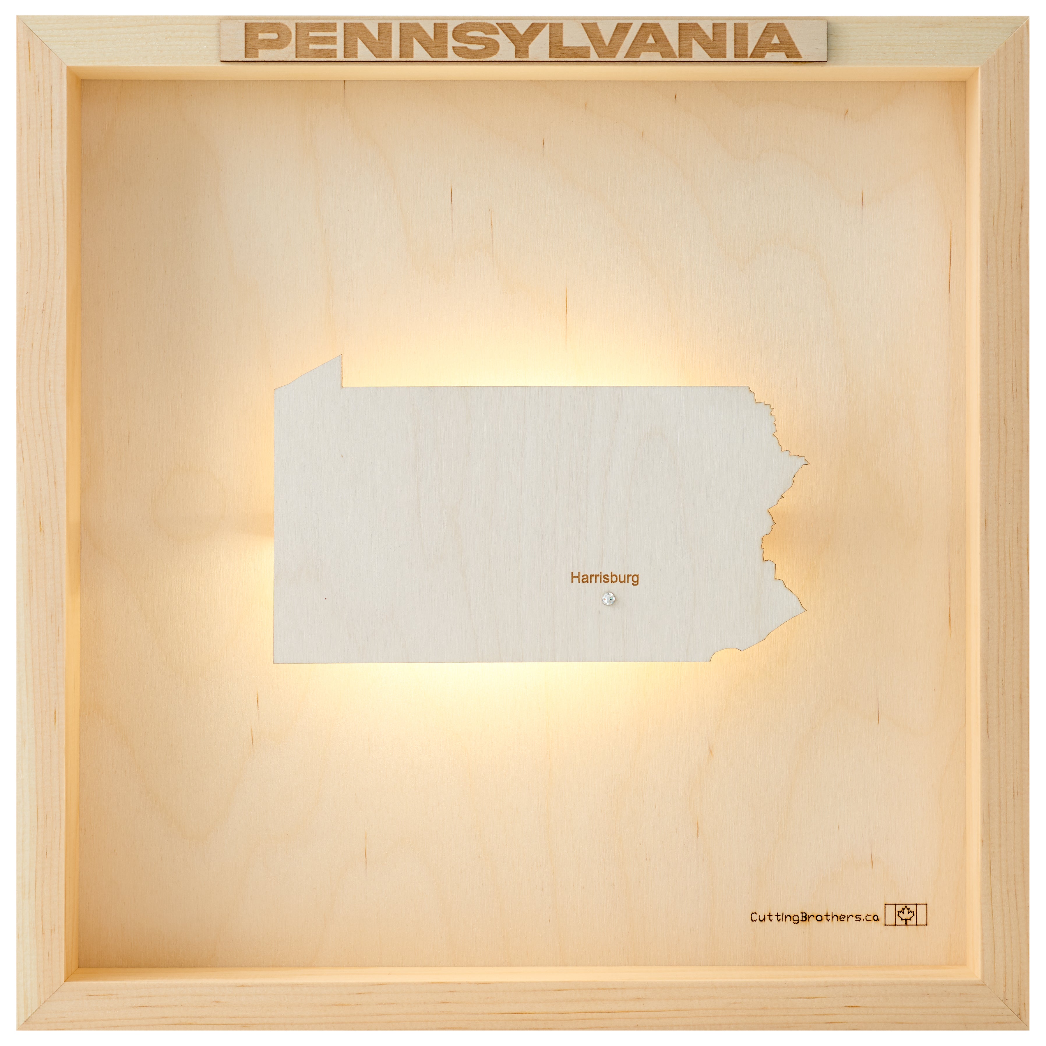 PENNSYLVANIA 3D WOODEN WALL MAP - Version S