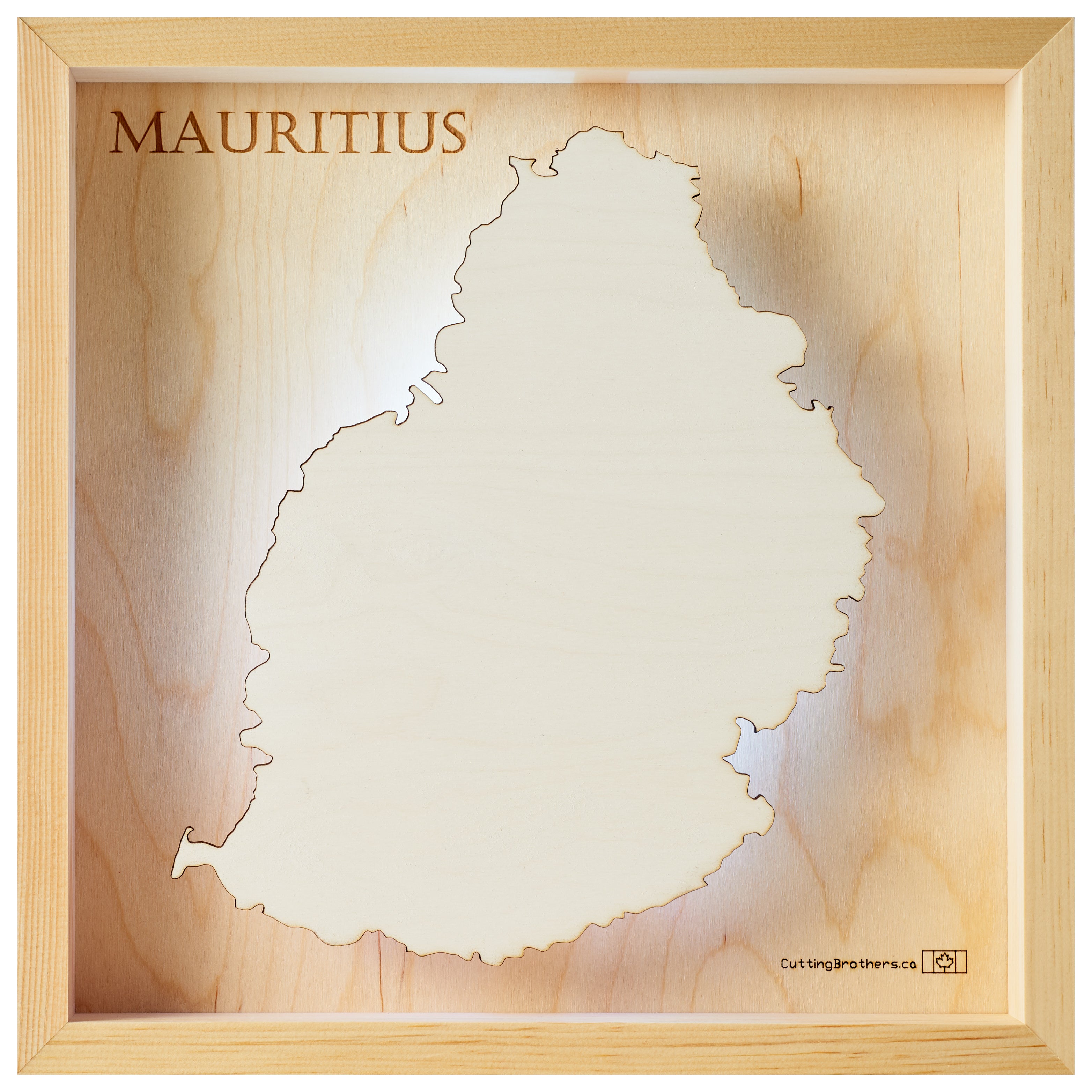 MAURITIUS LED LIGHT WALL MAP - Version S