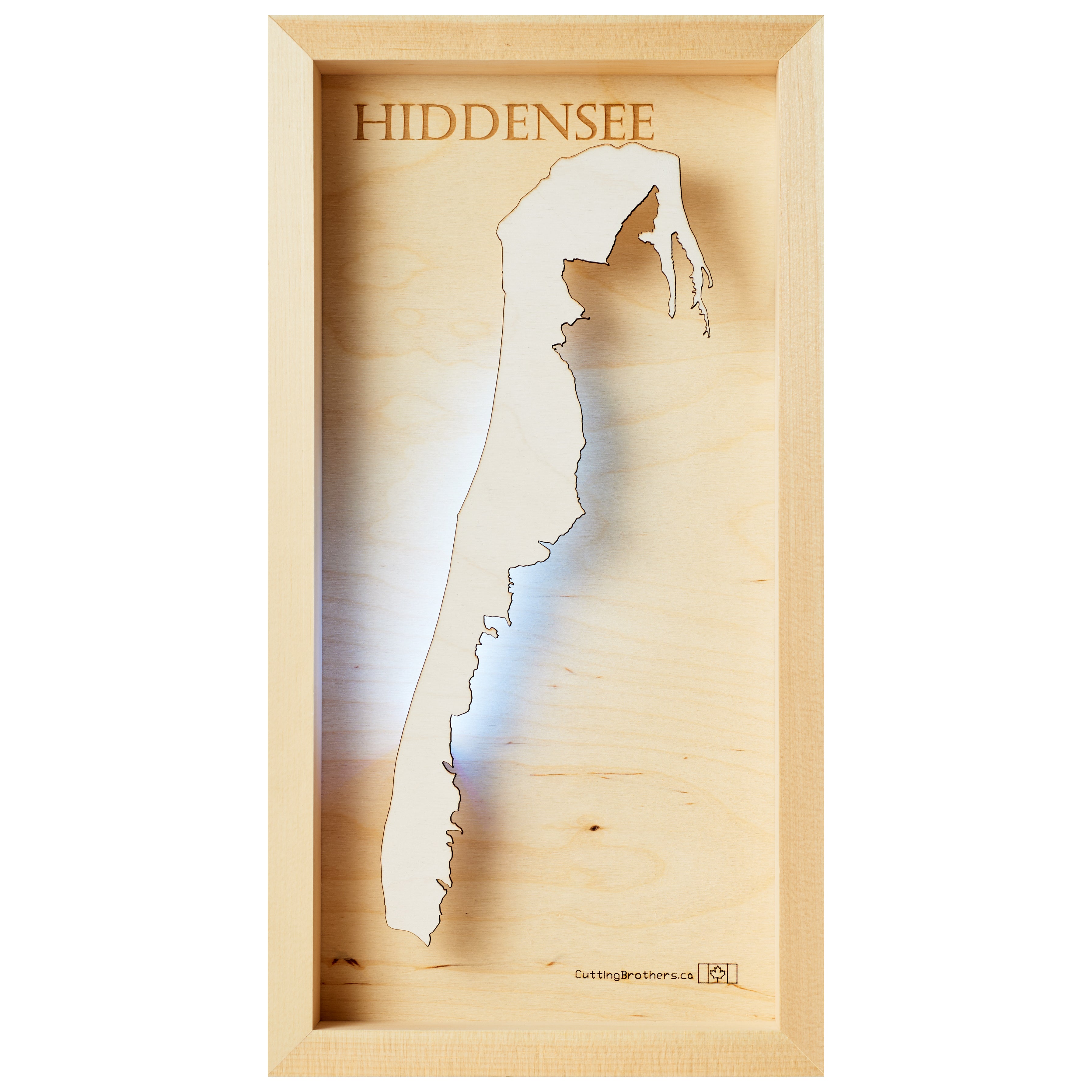 HIDDENSEE LED LIGHT WALL MAP - Version S  - 8 x 16 Inches