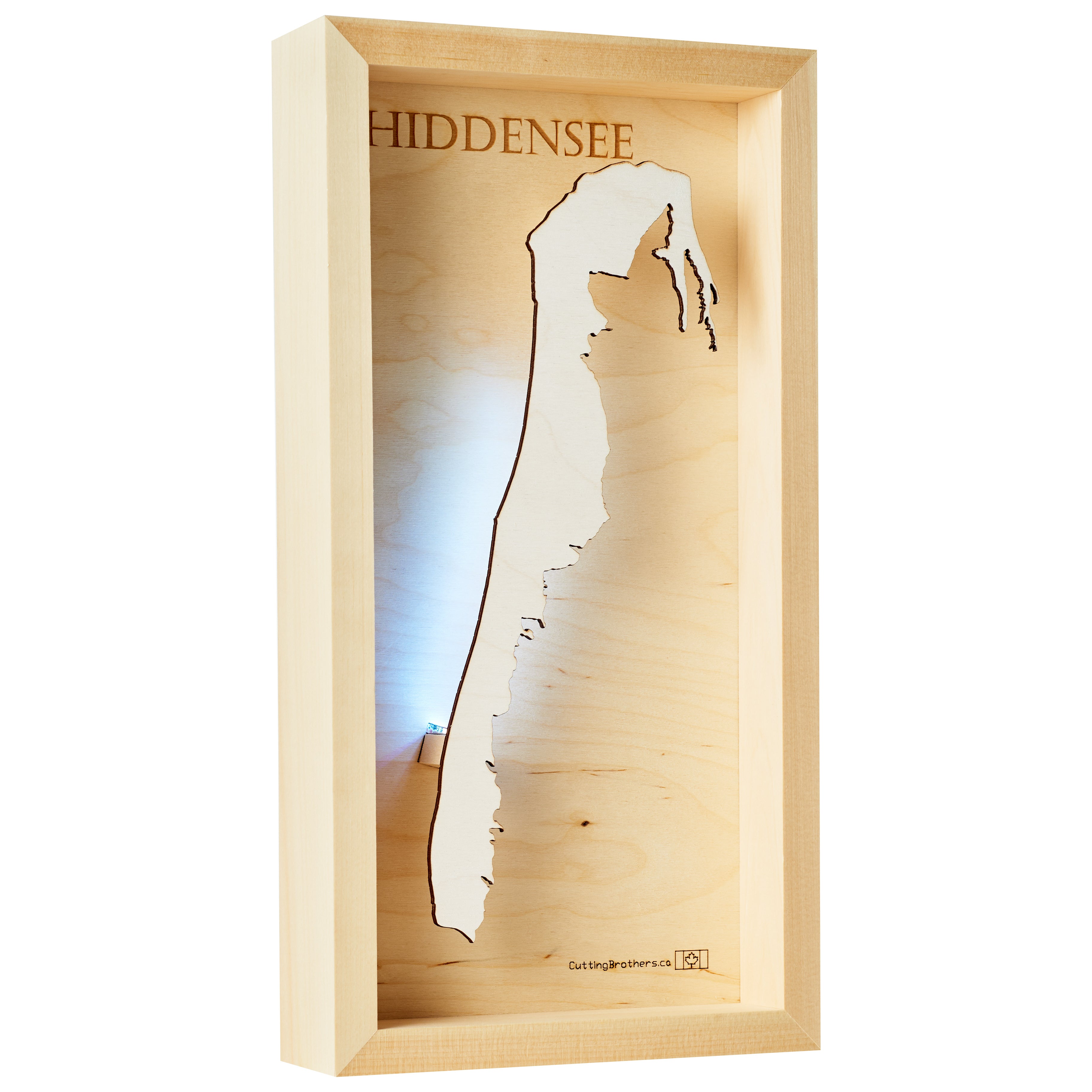 HIDDENSEE LED LIGHT WALL MAP - Version S  - 8 x 16 Inches