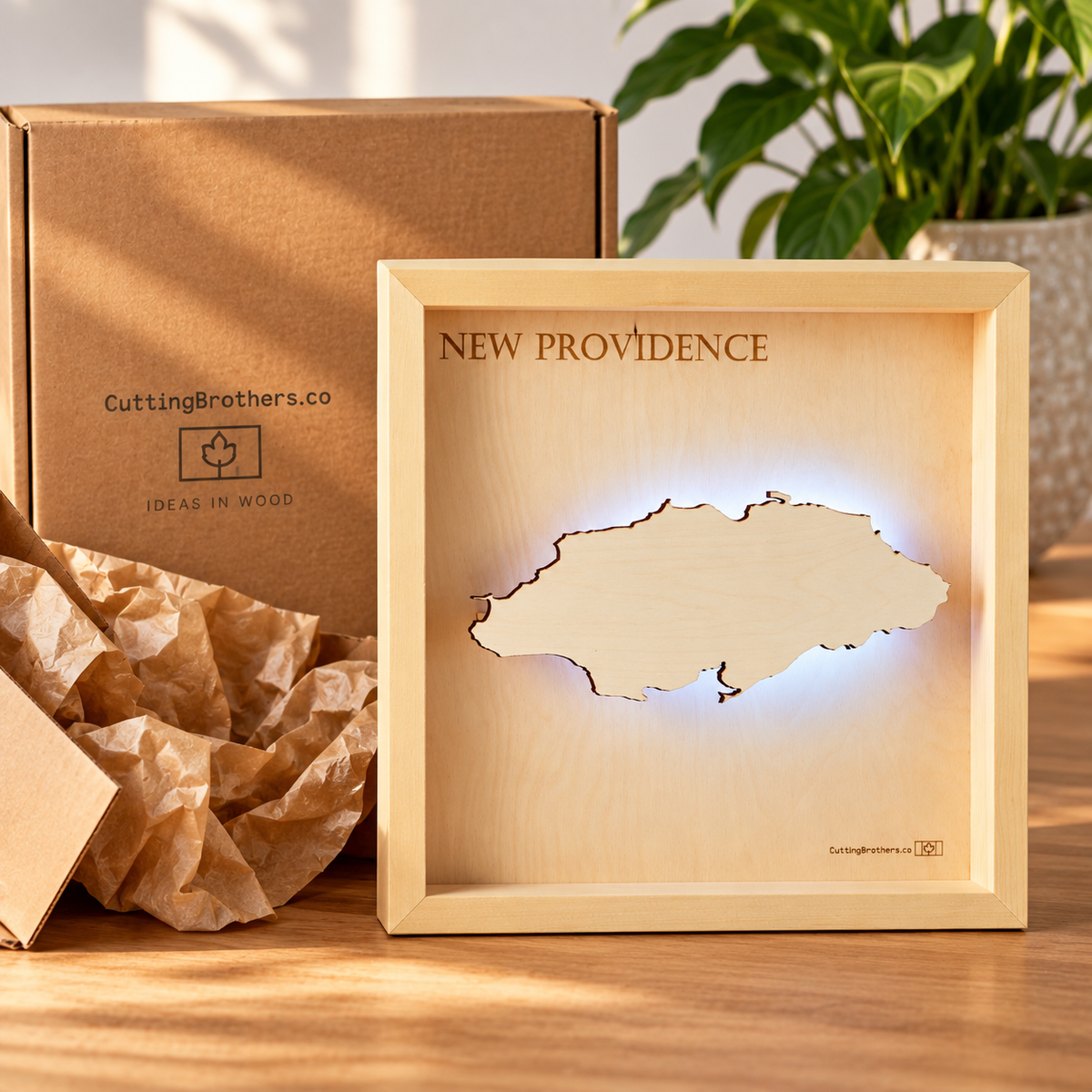 NEW PROVIDENCE LED LIGHT WALL MAP - Version S