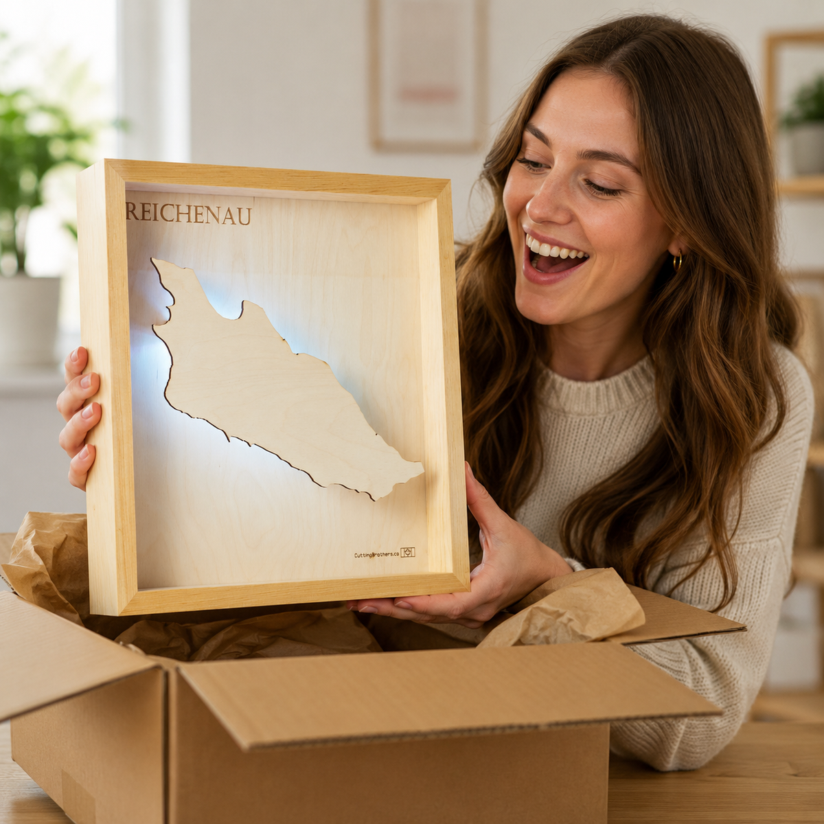 REICHENAU LED LIGHT WALL MAP - Version S